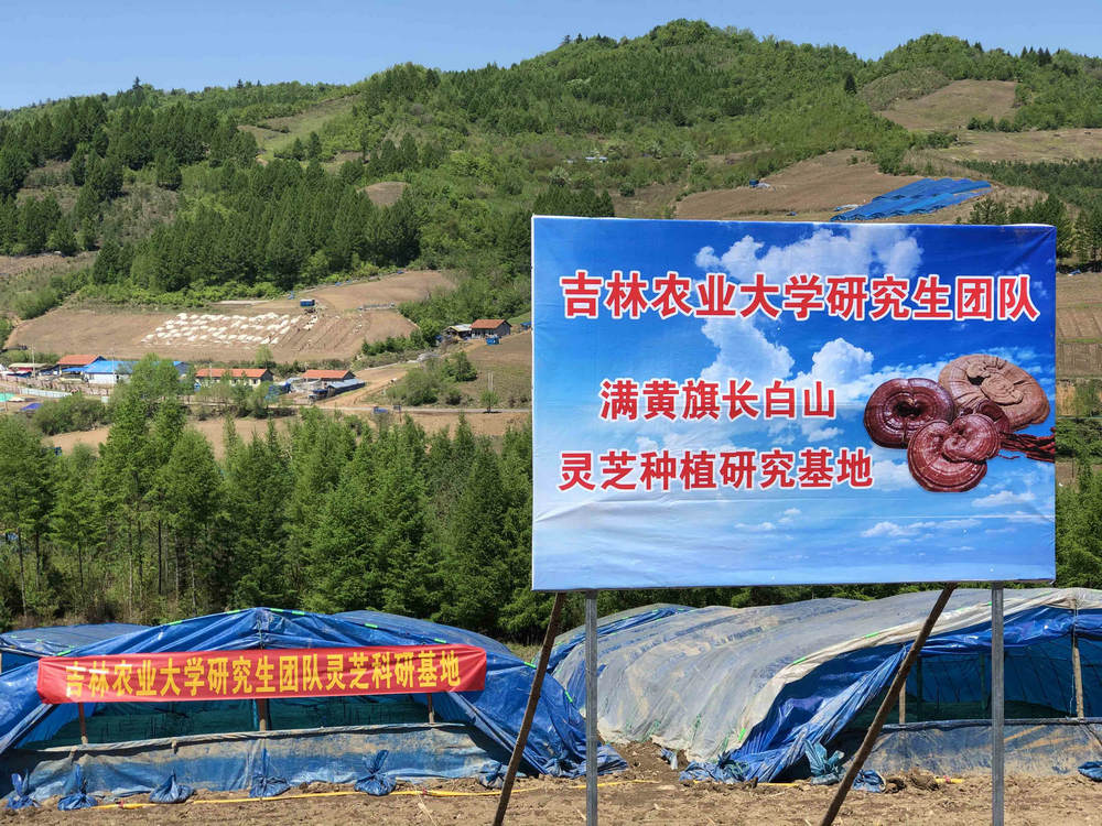 基地外景
